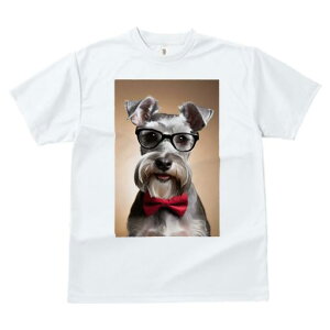 ~j`AViEU[ TVc  j[NfUCfB[X t@  t vg JWA 킢 lԗp Mtg I Kl ~j`AViEU[ lN^C