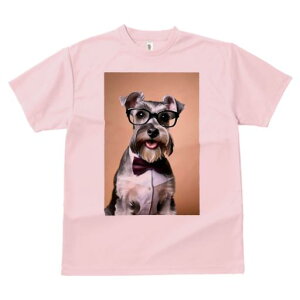 ~j`AViEU[ TVc  j[NfUCY LbY t@  t vg JWA 킢 lԗp Mtg I Kl ~j`AViEU[ lN^C 