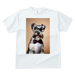 ~j`AViEU[ TVc  j[NfUCfB[X t@  t vg JWA 킢 lԗp Mtg I Kl ~j`AViEU[ lN^C V