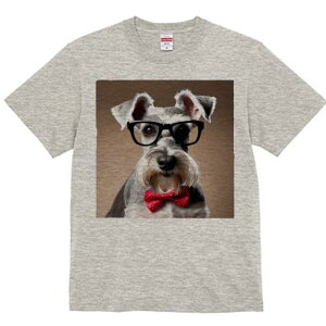 ~j`AViEU[ TVc  j[NfUCY LbY t@  t vg JWA 킢 lԗp Mtg I Kl ~j`AViEU[ lN^C