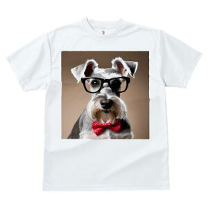 ~j`AViEU[ TVc  j[NfUCfB[X t@  t vg JWA 킢 lԗp Mtg I Kl ~j`AViEU[ lN^C