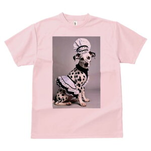 _VA TVc  j[NfUCY LbY t@  t vg JWA 킢 lԗp Mtg I RbNX _VA Gv 