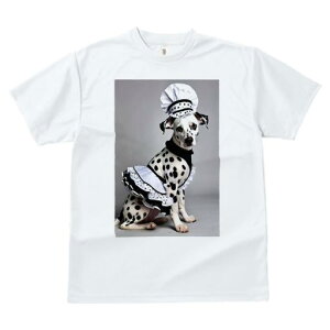 _VA TVc  j[NfUCfB[X t@  t vg JWA 킢 lԗp Mtg I RbNX _VA Gv 