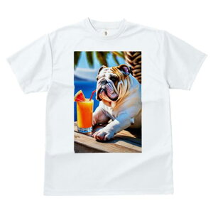 uhbO TVc  j[NfUCfB[X t@  t vg JWA 킢 lԗp Mtg I W[X uhbO XCJ  ][g