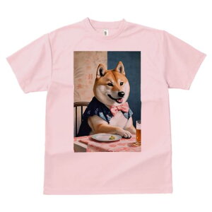 ag pfB Č TVc  j[NfUCY LbY t@  t vg JWA 킢 lԗp Mtg I lN^C Č r[ e[uNX M