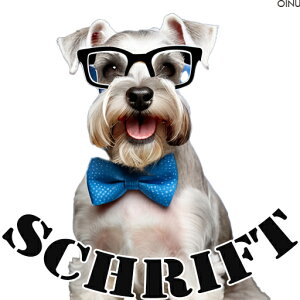 Kl ~j`AViEU[ lN^C NbVJo[ 45×45cm Aj}   NbV{̕t `