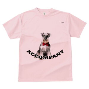 ~j`AViEU[ TVc  j[NfUCY LbY t@  t vg JWA 킢 lԗp Mtg I Kl ~j`AViEU[ lN^C