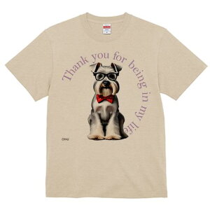 ~j`AViEU[ TVc  j[NfUCY LbY t@  t vg JWA 킢 lԗp Mtg I Kl ~j`AViEU[ lN^C