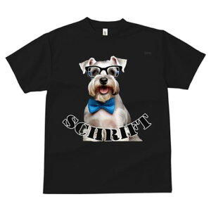 ~j`AViEU[ TVc  j[NfUCfB[X t@  t vg JWA 킢 lԗp Mtg I Kl ~j`AViEU[ lN^C