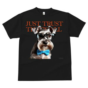 ~j`AViEU[ TVc  j[NfUCfB[X t@  t vg JWA 킢 lԗp Mtg I Kl ~j`AViEU[ lN^C