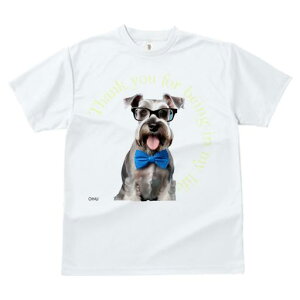 ~j`AViEU[ TVc  j[NfUCfB[X t@  t vg JWA 킢 lԗp Mtg I lN^C ~j`AViEU[ Kl