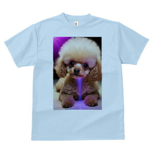 gCv[h TVc  j[NfUCY LbY t@  t vg JWA 킢 lԗp Mtg I ʂ gCv[h L[g ӂӂ