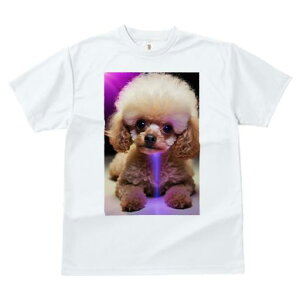 トイプードル Tシャツ 犬愛 ユニークデザインレディース 犬ファン 半袖 春夏 プリント カジュアル かわいい 人間用 ギフト 個性的 ぬいぐるみ トイプードル かわいい キュート ふわふわ