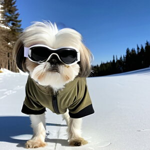  V[Y[ XL[EFA TOX ~ NbVJo[ 45×45cm Aj}   NbV{̕t `