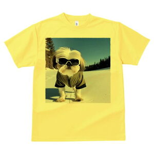 V[Y[ TVc  j[NfUCY LbY t@  t vg JWA 킢 lԗp Mtg I  V[Y[ XL[EFA TOX ~