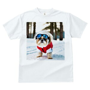 V[Y[ TVc  j[NfUCfB[X t@  t vg JWA 킢 lԗp Mtg I  V[Y[ XL[EFA S[O