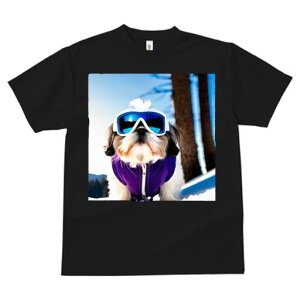 V[Y[ TVc  j[NfUCfB[X t@  t vg JWA 킢 lԗp Mtg I XL[ V[Y[ XL[EFA