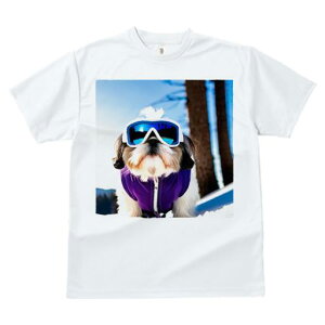 V[Y[ TVc  j[NfUCfB[X t@  t vg JWA 킢 lԗp Mtg I XL[ V[Y[ XL[EFA