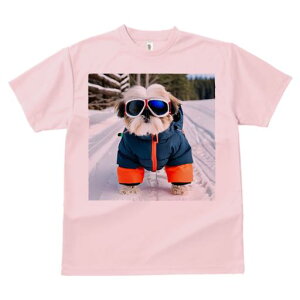 V[Y[ TVc  j[NfUCY LbY t@  t vg JWA 킢 lԗp Mtg I XL[EFA V[Y[ XL[S[O  ~