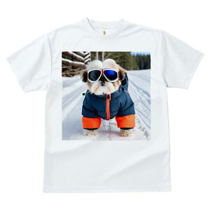 V[Y[ TVc  j[NfUCfB[X t@  t vg JWA 킢 lԗp Mtg I XL[EFA V[Y[ XL[S[O  ~