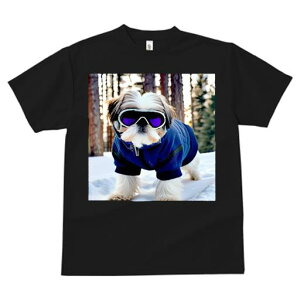 V[Y[ TVc  j[NfUCfB[X t@  t vg JWA 킢 lԗp Mtg I XL[EFA V[Y[ XL[S[O 