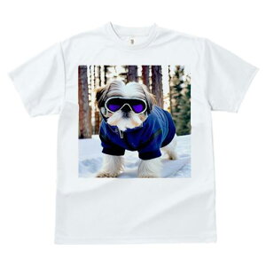 V[Y[ TVc  j[NfUCfB[X t@  t vg JWA 킢 lԗp Mtg I XL[EFA V[Y[ XL[S[O 