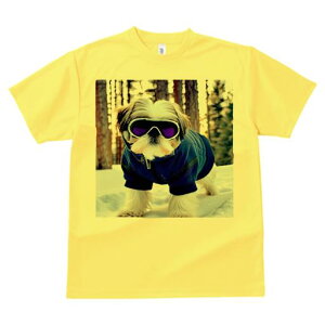 V[Y[ TVc  j[NfUCY LbY t@  t vg JWA 킢 lԗp Mtg I XL[EFA V[Y[ XL[S[O 