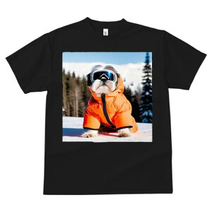 V[Y[ TVc  j[NfUCY LbY t@  t vg JWA 킢 lԗp Mtg I XL[EFA V[Y[ 