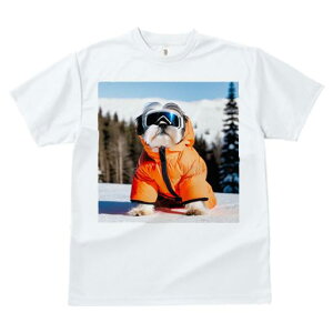 V[Y[ TVc  j[NfUCfB[X t@  t vg JWA 킢 lԗp Mtg I XL[EFA V[Y[ 