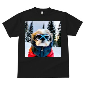 V[Y[ TVc  j[NfUCfB[X t@  t vg JWA 킢 lԗp Mtg I  V[Y[ ~ XL[EFA S[O