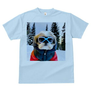 V[Y[ TVc  j[NfUCY LbY t@  t vg JWA 킢 lԗp Mtg I  V[Y[ ~ XL[EFA S[O