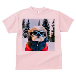 V[Y[ TVc  j[NfUCY LbY t@  t vg JWA 킢 lԗp Mtg I  V[Y[ ~ XL[EFA S[O