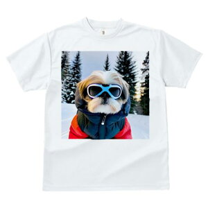 V[Y[ TVc  j[NfUCfB[X t@  t vg JWA 킢 lԗp Mtg I  V[Y[ ~ XL[EFA S[O