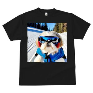 V[Y[ TVc  j[NfUCY LbY t@  t vg JWA 킢 lԗp Mtg I XL[ V[Y[  ~ XL[EFA