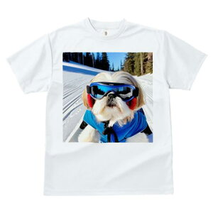 V[Y[ TVc  j[NfUCfB[X t@  t vg JWA 킢 lԗp Mtg I XL[ V[Y[  ~ XL[EFA