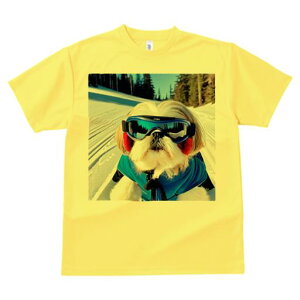 V[Y[ TVc  j[NfUCY LbY t@  t vg JWA 킢 lԗp Mtg I XL[ V[Y[  ~ XL[EFA