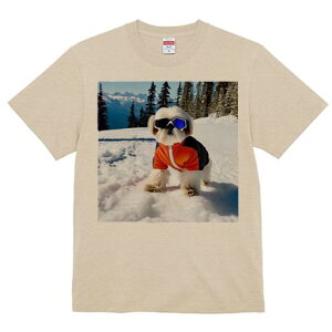 V[Y[ TVc  j[NfUCY LbY t@  t vg JWA 킢 lԗp Mtg I R V[Y[ XL[EFA XL[S[O