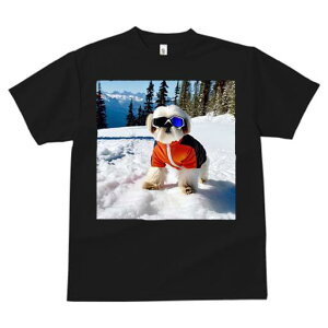 V[Y[ TVc  j[NfUCfB[X t@  t vg JWA 킢 lԗp Mtg I R V[Y[ XL[EFA XL[S[O