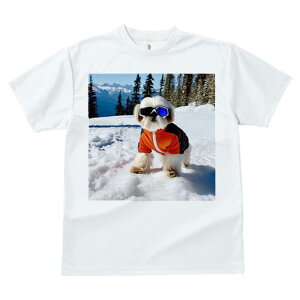 V[Y[ TVc  j[NfUCfB[X t@  t vg JWA 킢 lԗp Mtg I R V[Y[ XL[EFA XL[S[O