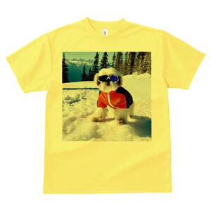 V[Y[ TVc  j[NfUCY LbY t@  t vg JWA 킢 lԗp Mtg I R V[Y[ XL[EFA XL[S[O