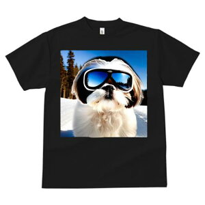 V[Y[ TVc  j[NfUCfB[X t@  t vg JWA 킢 lԗp Mtg I XL[ V[Y[ XL[EFA  ~