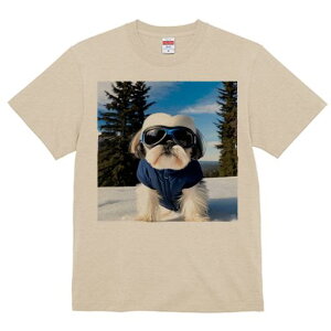 V[Y[ TVc  j[NfUCY LbY t@  t vg JWA 킢 lԗp Mtg I  V[Y[ ~ XL[EFA S[O