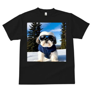 V[Y[ TVc  j[NfUCfB[X t@  t vg JWA 킢 lԗp Mtg I  V[Y[ ~ XL[EFA S[O