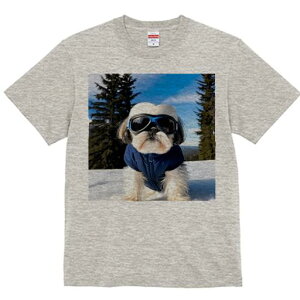 V[Y[ TVc  j[NfUCY LbY t@  t vg JWA 킢 lԗp Mtg I  V[Y[ ~ XL[EFA S[O