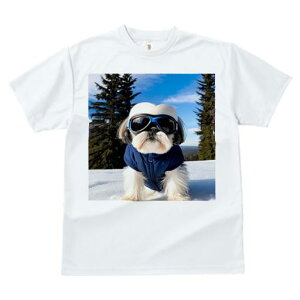 V[Y[ TVc  j[NfUCfB[X t@  t vg JWA 킢 lԗp Mtg I  V[Y[ ~ XL[EFA S[O