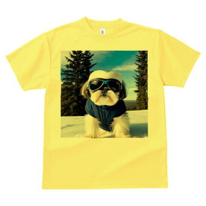 V[Y[ TVc  j[NfUCY LbY t@  t vg JWA 킢 lԗp Mtg I  V[Y[ ~ XL[EFA S[O