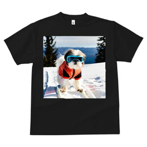 V[Y[ TVc  j[NfUCfB[X t@  t vg JWA 킢 lԗp Mtg I XL[ V[Y[  ~ XL[EFA