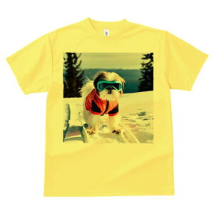 V[Y[ TVc  j[NfUCY LbY t@  t vg JWA 킢 lԗp Mtg I XL[ V[Y[  ~ XL[EFA