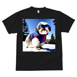 V[Y[ TVc  j[NfUCfB[X t@  t vg JWA 킢 lԗp Mtg I XL[EFA V[Y[  ~ XL[S[O