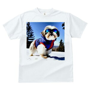 V[Y[ TVc  j[NfUCfB[X t@  t vg JWA 킢 lԗp Mtg I XL[EFA V[Y[  ~ XL[S[O